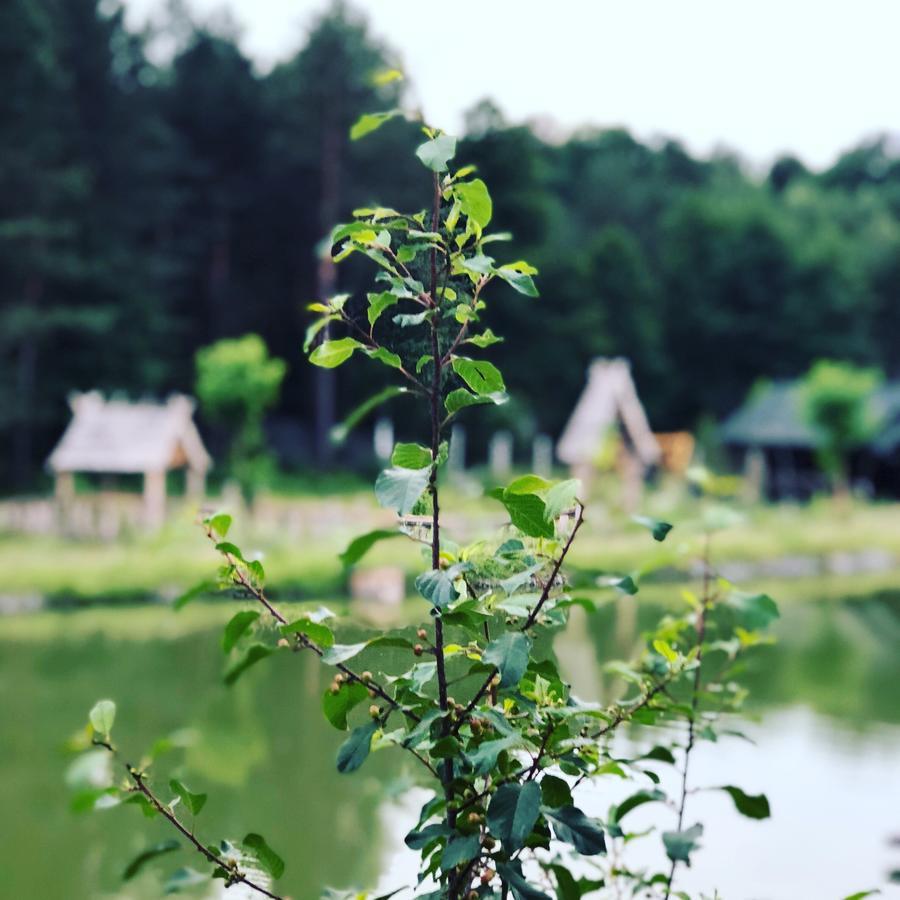 Gostynna Sadyba Kit Bayun Teterivka 외부 사진